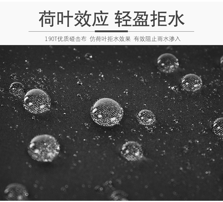 粉波點(diǎn)詳情_09.jpg