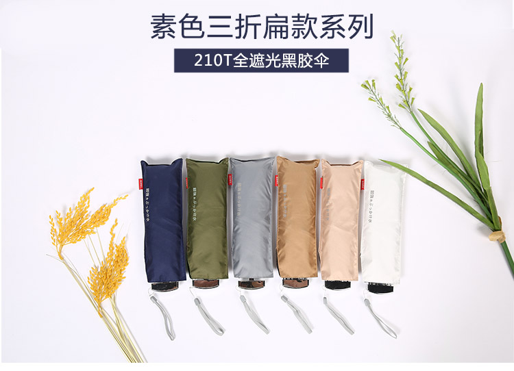 B扁款詳情_01.jpg
